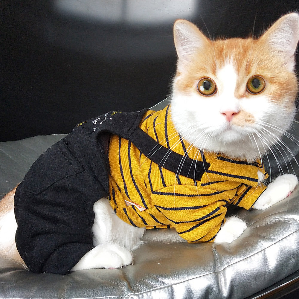 Warm Winter Clothes for Kittens and Cats