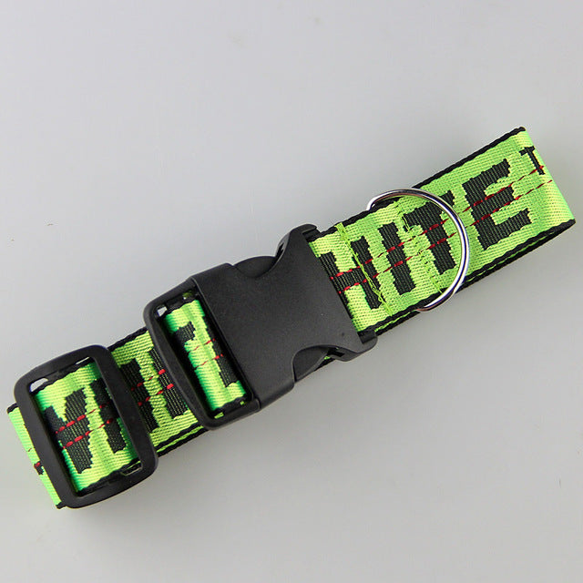 Gold Chain Nylon Dog Collar and Leash Set for Pets