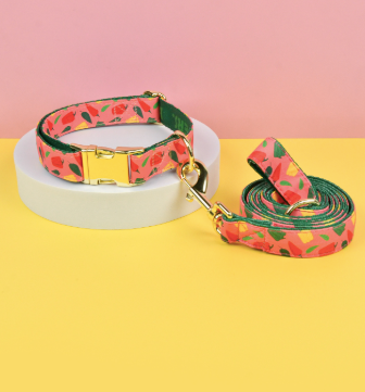Double-Sided Pet Collar & Leash Set