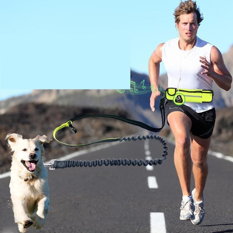 Adjustable Hands-Free Dog Running Leash with Pocket