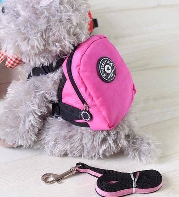 Dog Backpack for Small Pets - Teddy, French Bulldog