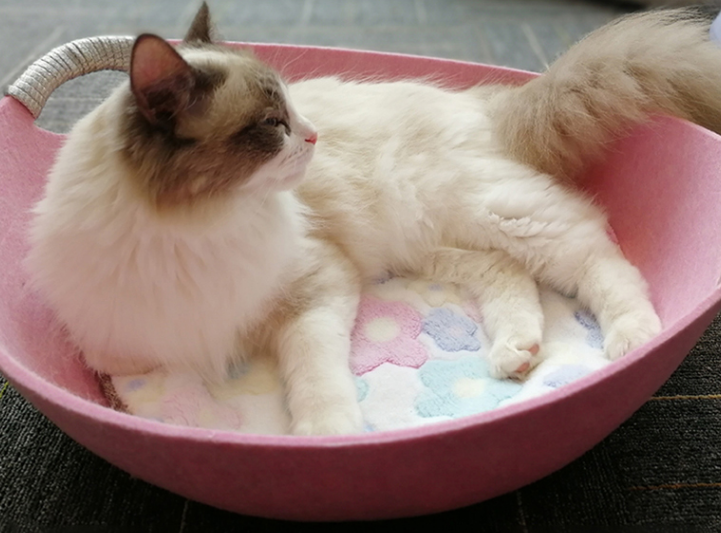 Universal Pet Bed for Cats - Felt and Bowl Design