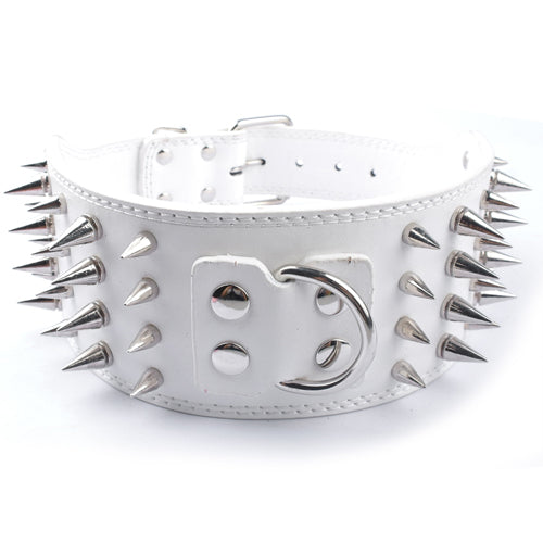 New Sharp Spiked Collar for Large Dogs (Golden Retriever)