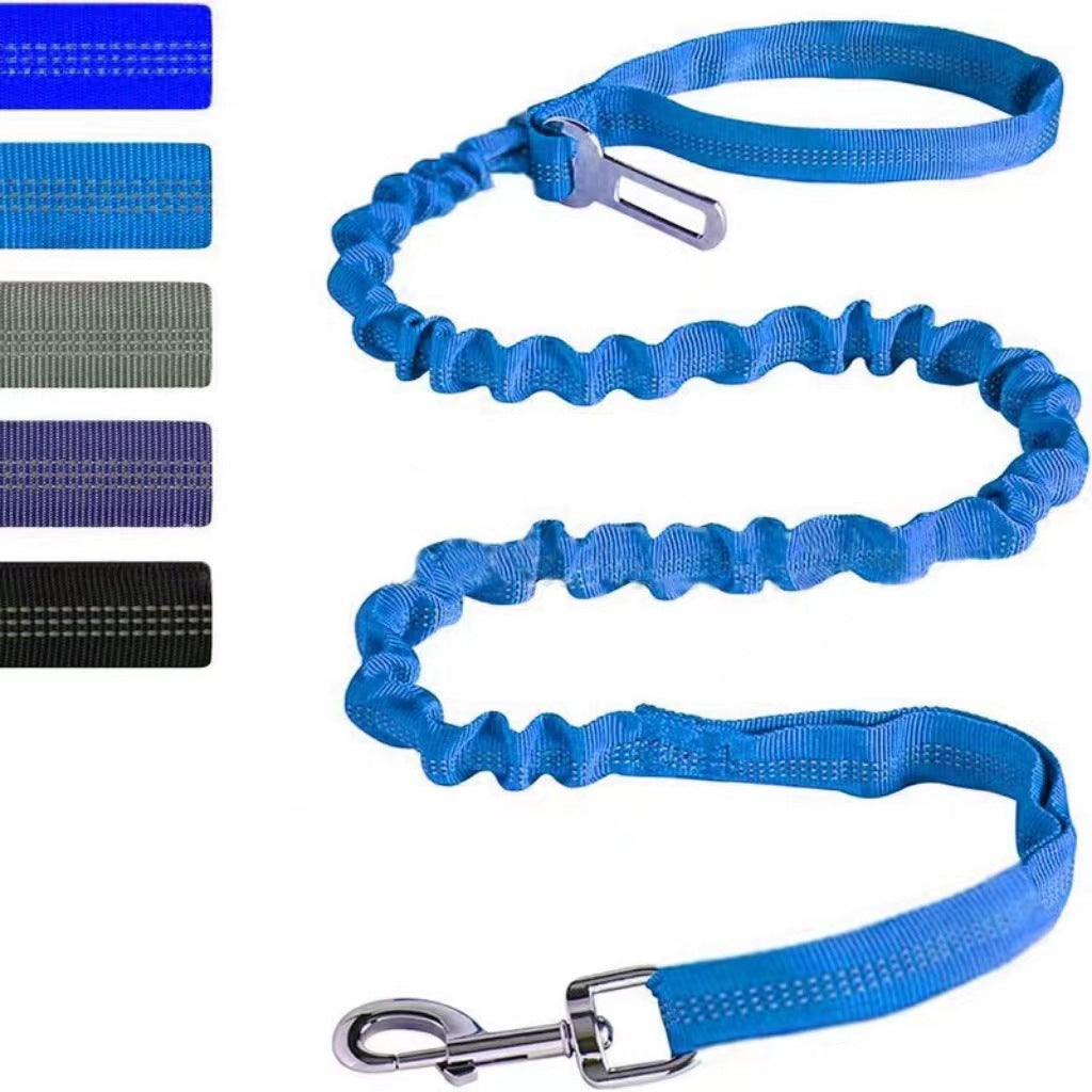 Reflective Polyester Dog Leash