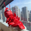 Halloween Cat Lobster Outfit for New Year and Christmas