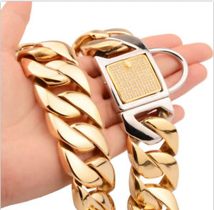 Gold Stainless Steel Titanium Chain Necklace