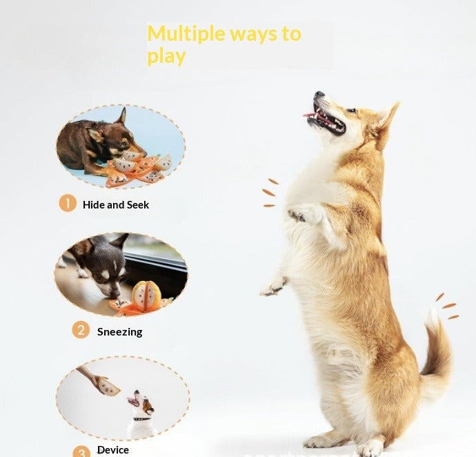 Interactive Plush Orange Dog Toy