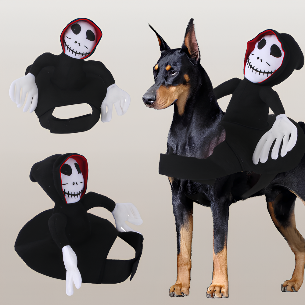1pc Pet Dress-up & Transformation Clothing for Dogs
