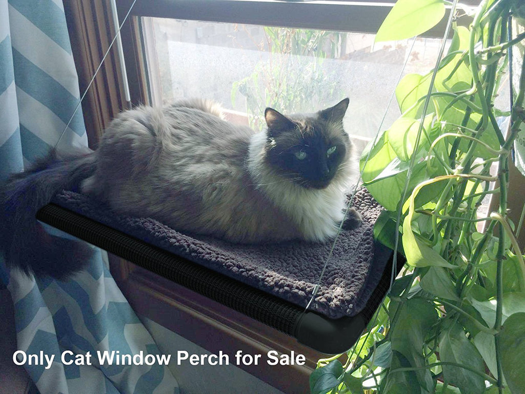Cat Hammock with Suction Cups for Pets up to 26 lbs