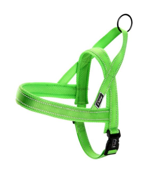 Glow Castle Quick Fit Dog Chest Strap for Easy Wear