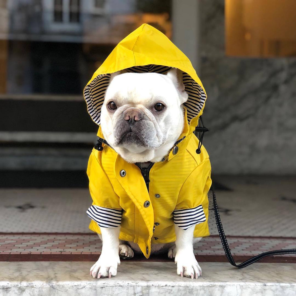 Tide Brand Windproof British Retro Padded Dog Raincoat