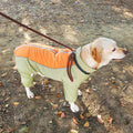 Golden Retriever Cotton Coat for Medium & Large Dogs