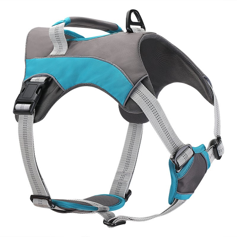 Reflective Dog Leashes and Chest Straps for Pets