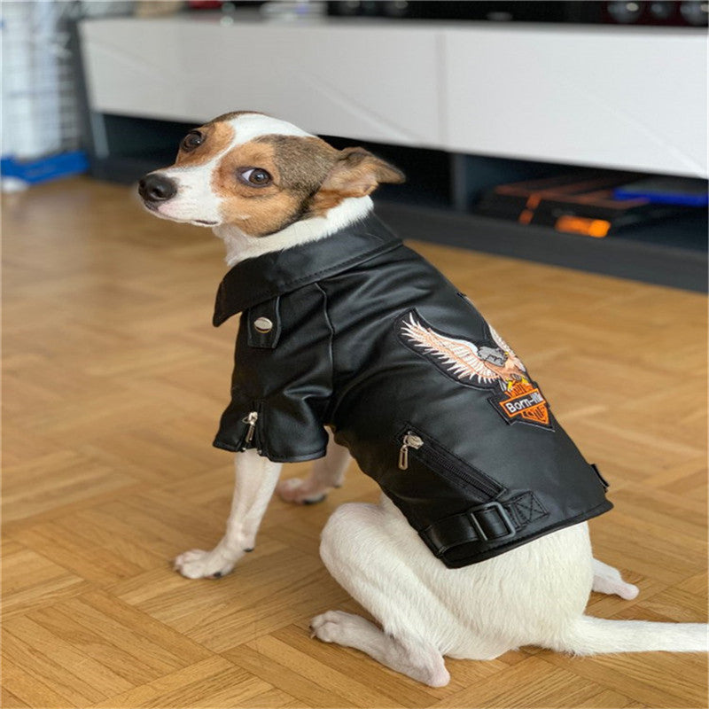 Embroidered Dog Jacket in Eagle PU Leather