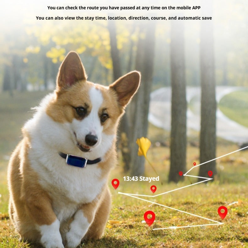 G12 Pet Navigator GPS Tracker for Cats & Dogs