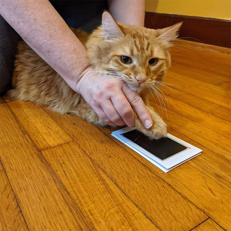 Children & Pets Fingerprint Photo Album DIY