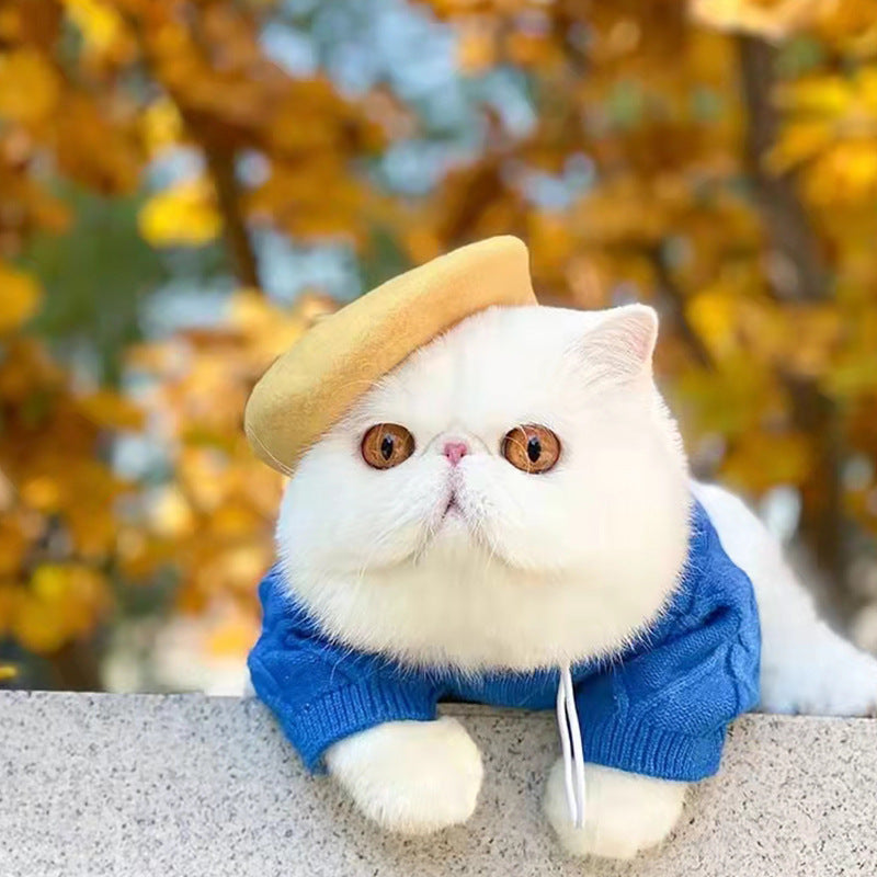 Ins Style Wool Beret for Pets - Dog and Cat Accessory