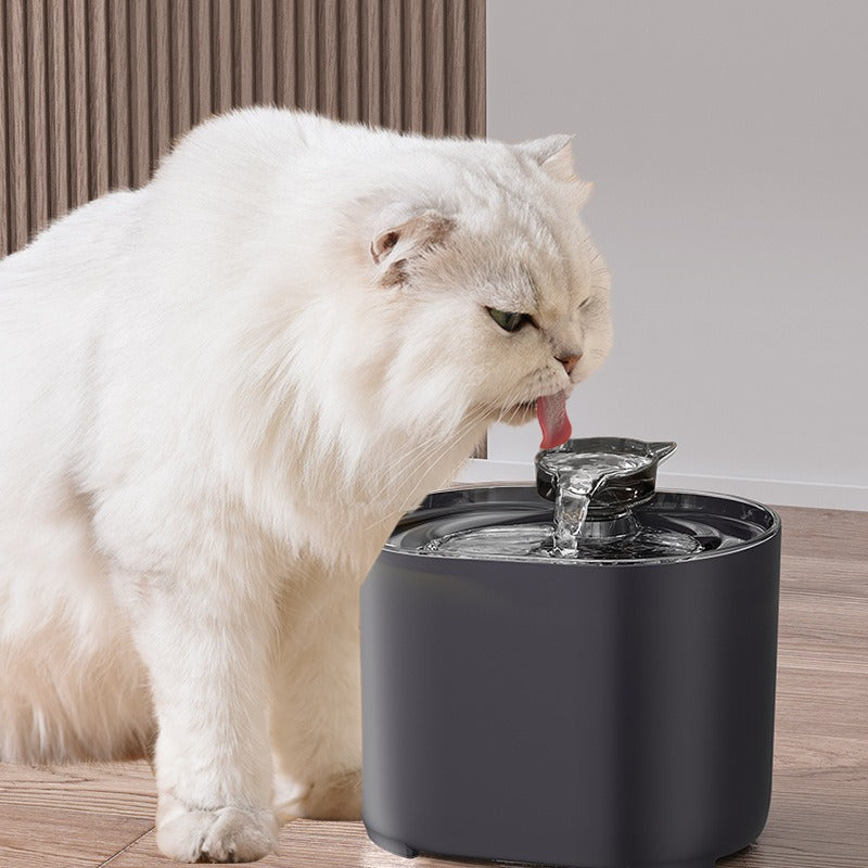 Pet Water Heater