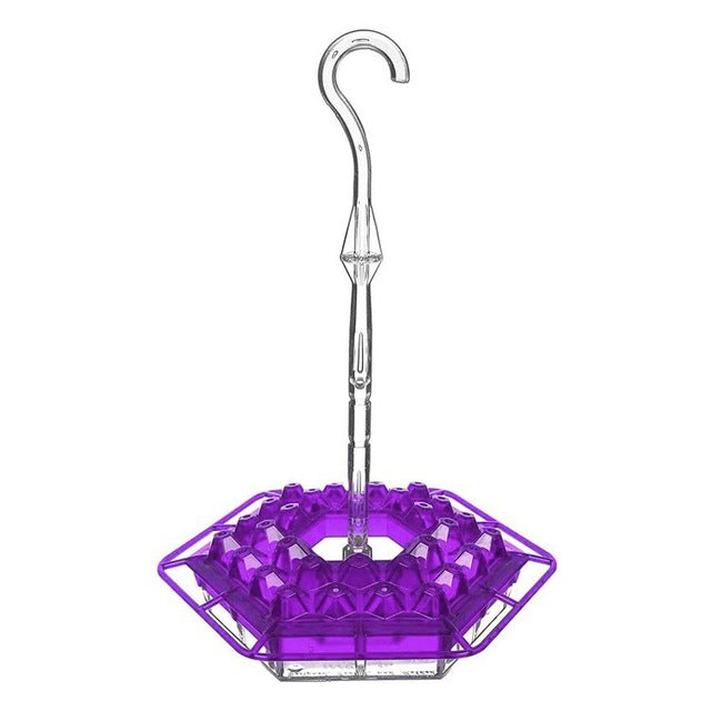 PALONE Hummingbird Feeder with Perch and Ant Moat