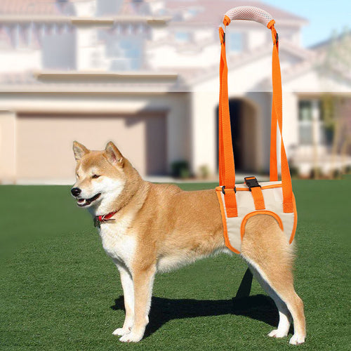Adjustable Dog Lift Harness for Weak Hind Legs Support