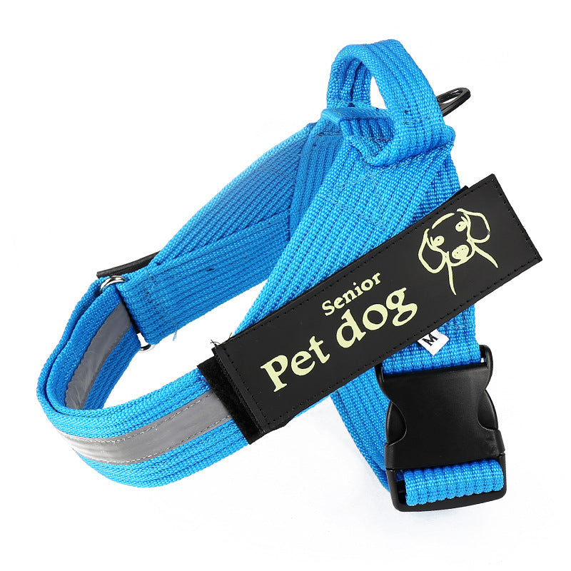 Dog Leash and Chest Harness Set