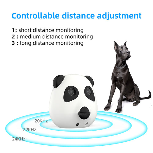 Barking Noise Prevention and Disturbance Control