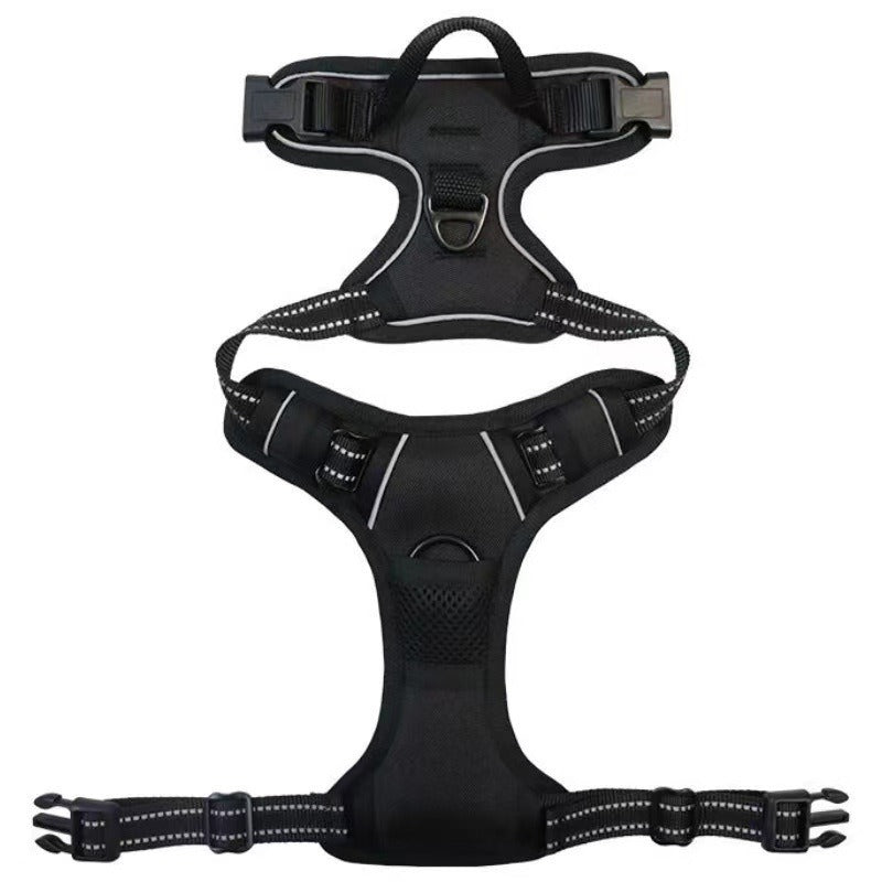 Nylon Dog Harness & Leash Set