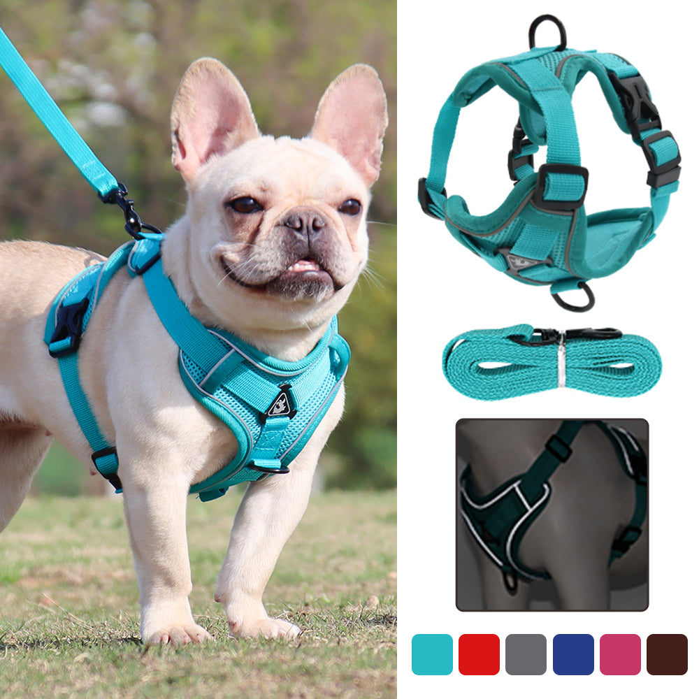Dog Harness Set