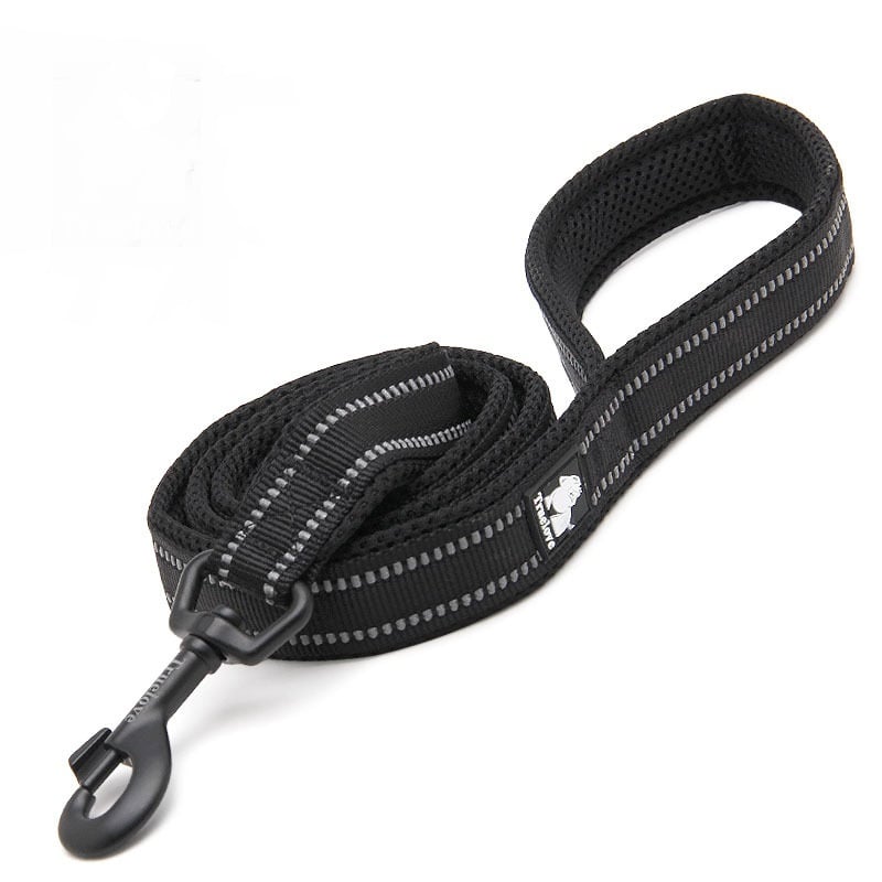 Dog Leash to Prevent Loss and Keep Your Pet Safe