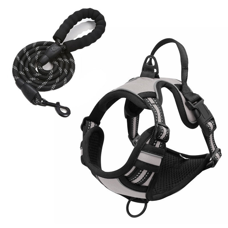 Nylon Dog Harness & Leash Set