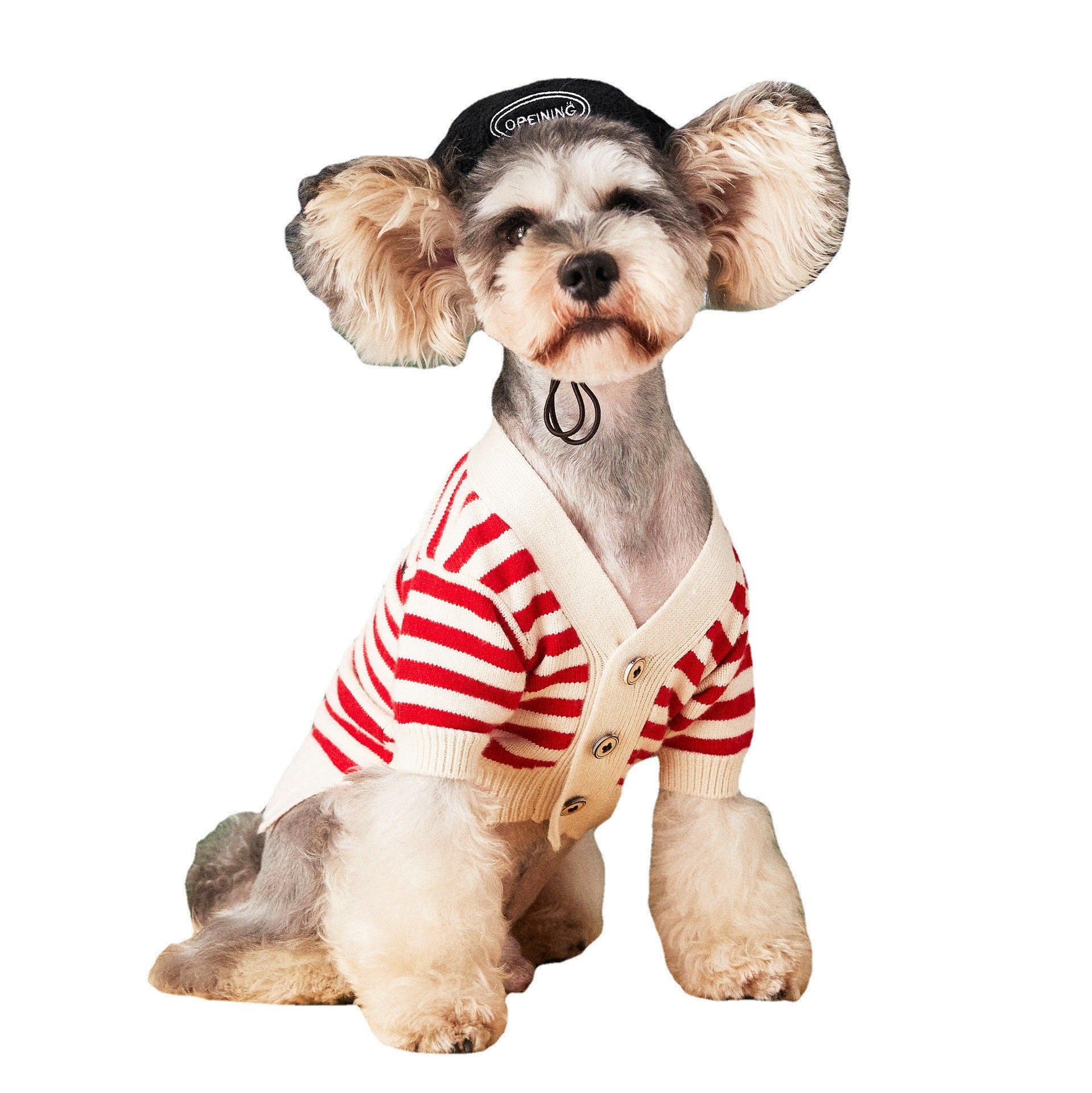 Striped Sweater Cardigan for Small Dogs