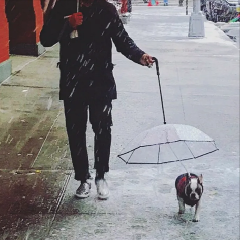 Pet Umbrella with Leash