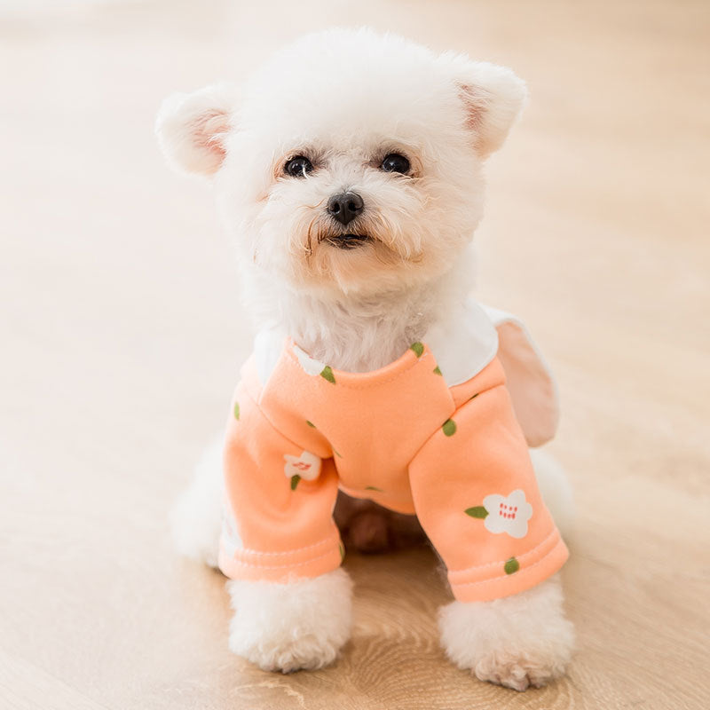 Little Rabbit Shaped Transforming Pet Sweatshirt