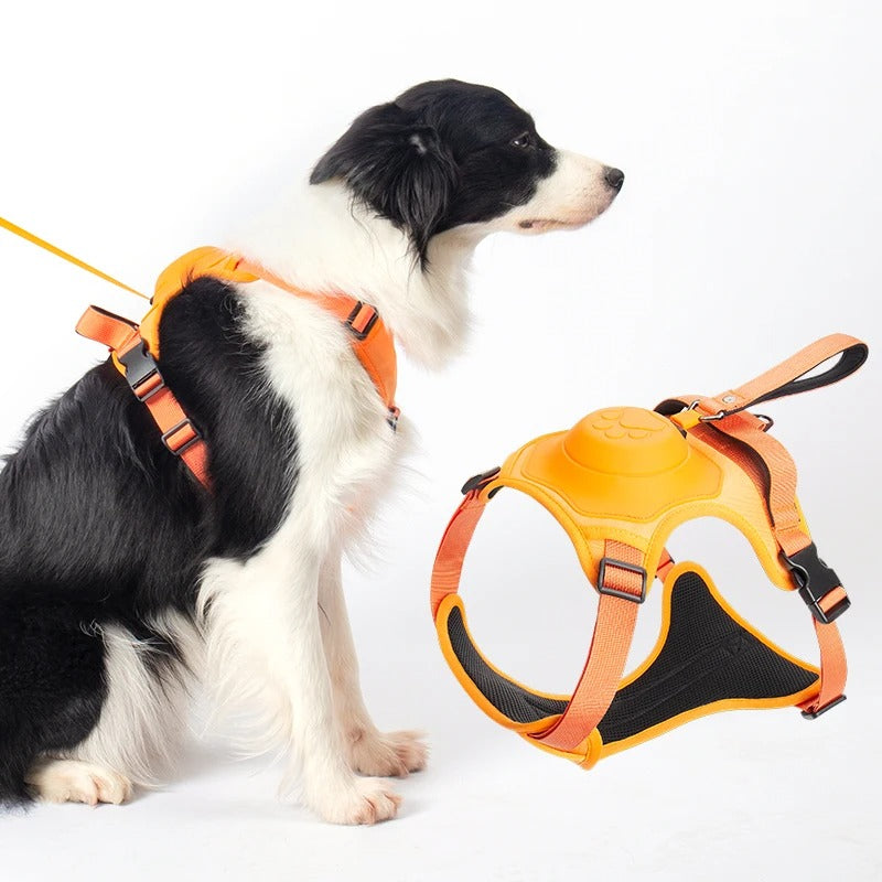 Dog Harness with Retractable Leash