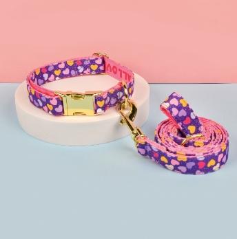 Double-Sided Pet Collar & Leash Set