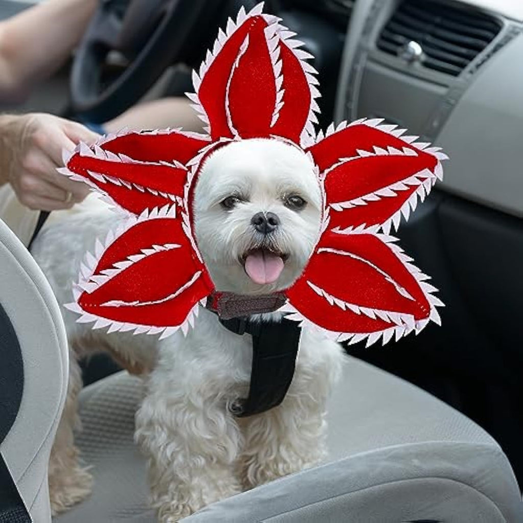 Pet  Flower Costume  Accessories