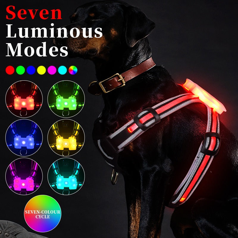 Dog Vest LED Harness