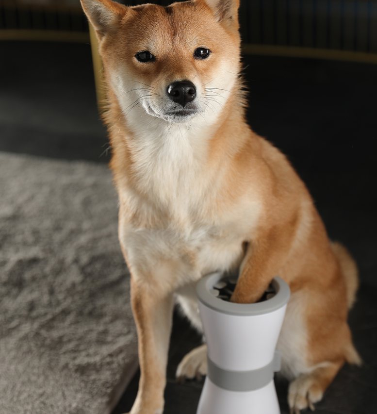 Pet Electric Foot Washing Cup for Dogs and Cats