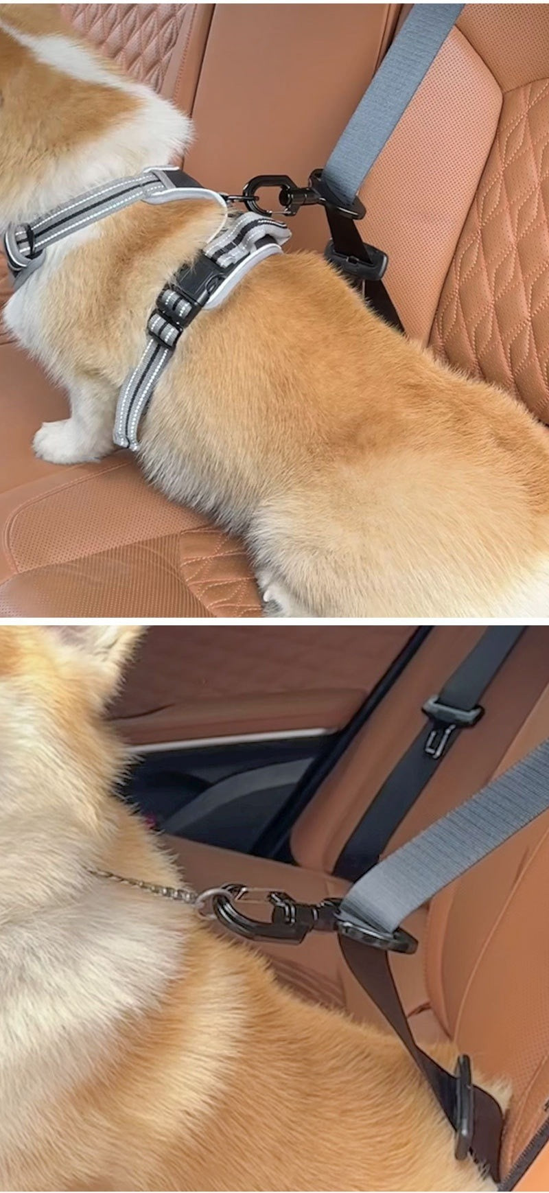 Pet Car Safety Buckle for Travel
