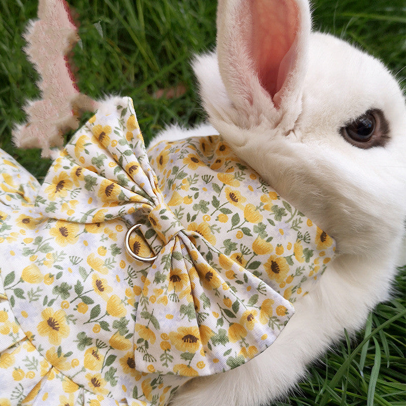 Leash for Bunny, Kitten, Cat, and Lop-Eared Rabbit