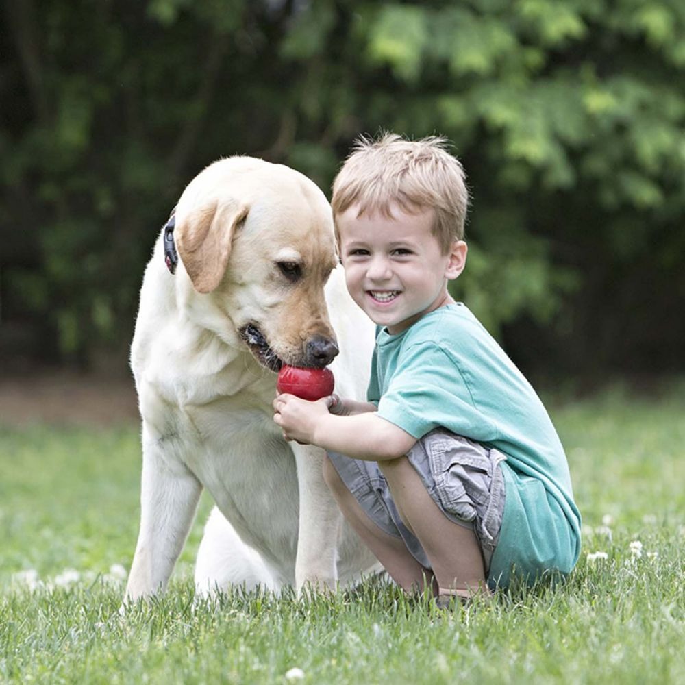 Rubber Gourd Dog Toy - Bite Resistant, Food Leakage