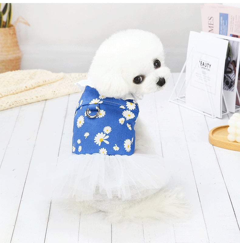 Cute Princess Dress for Small Bichon Dogs