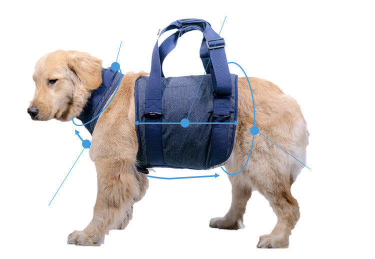 Pet Dog Leash with Harness for Senior Dogs