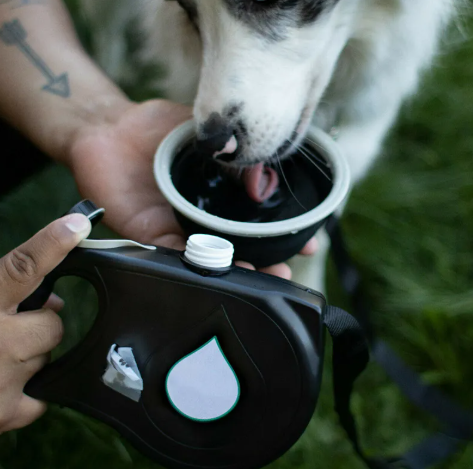 Portable Dog Leash with Built-in Water Bottle