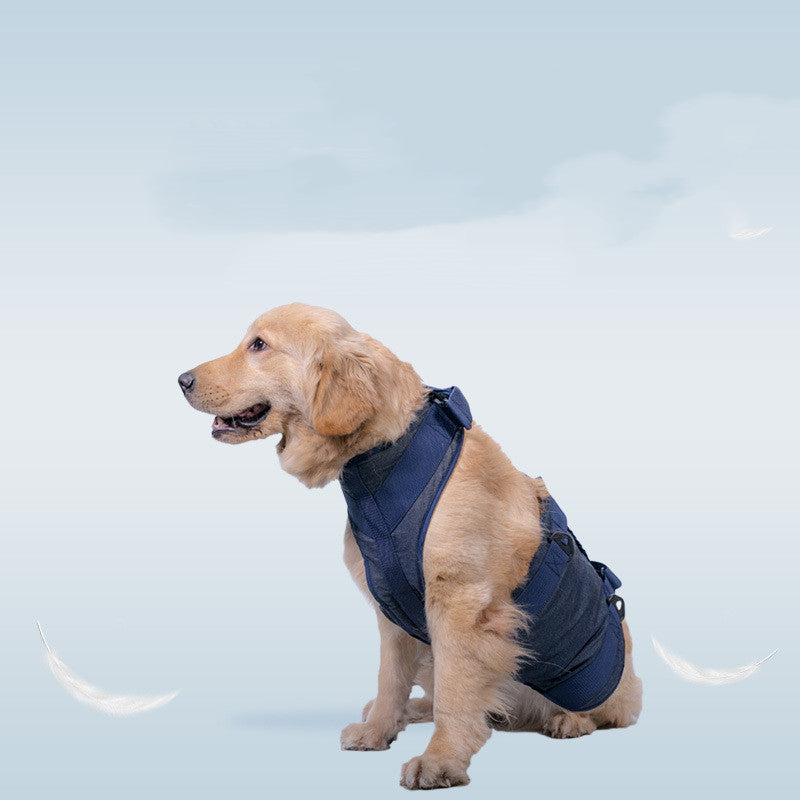 Pet Dog Leash with Harness for Senior Dogs