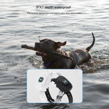 2-in-1 Wireless Dog Training & Bark Control Collar