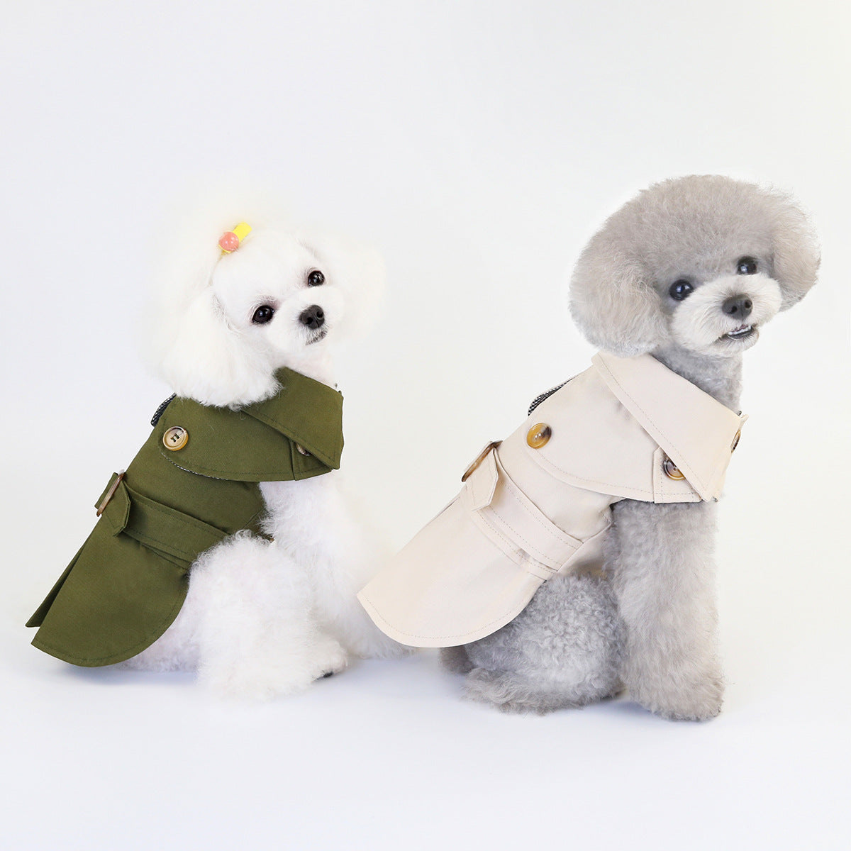 Trendy and Fashionable Dog Apparel Collection