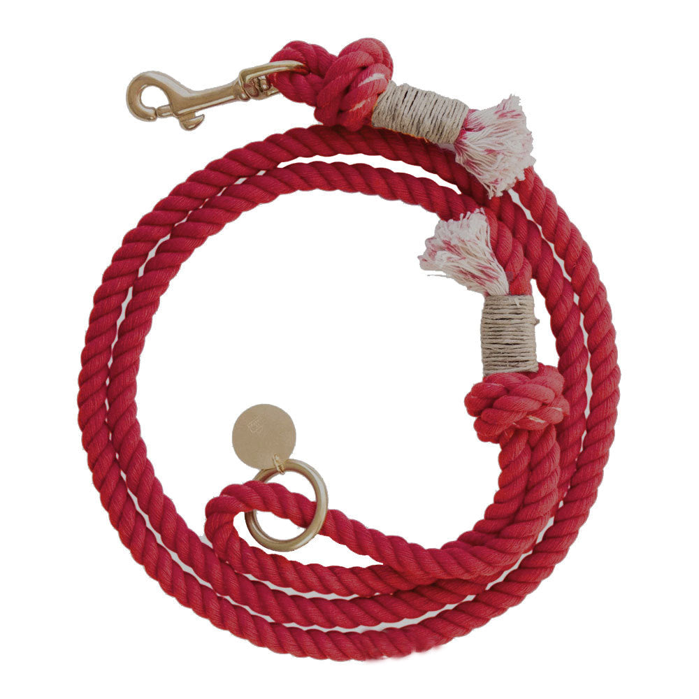 Hand Woven Gradual Pet Leash