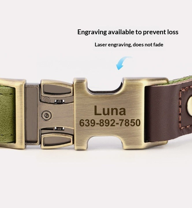 Adjustable Dog Collar