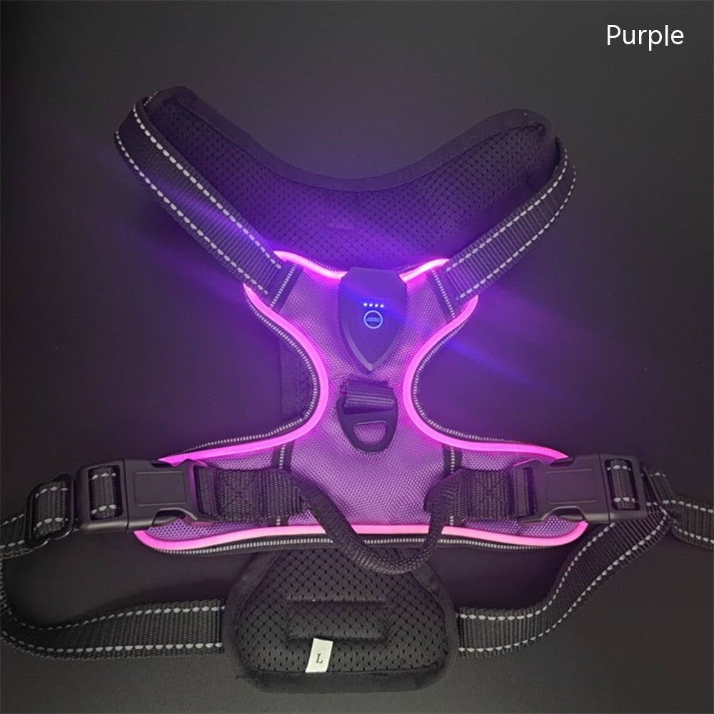 Luminous Dog Vest